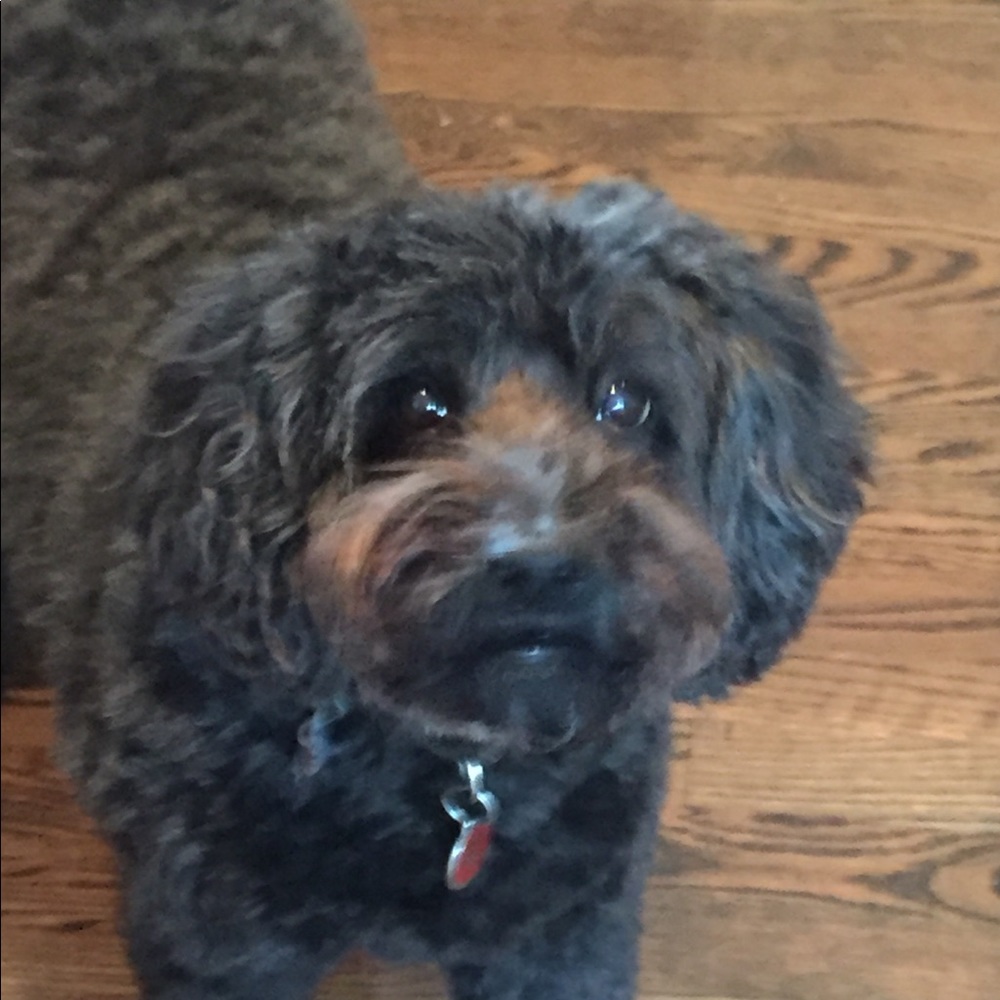 Meet your Posher, Ron